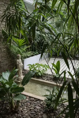 Jardin Interior